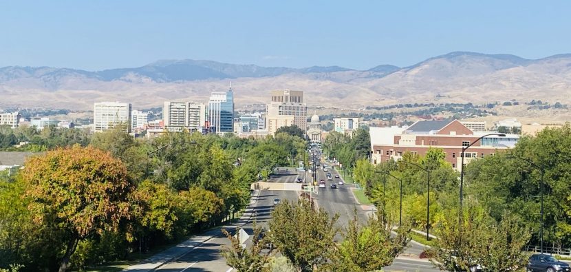 Micronet-IT-Services-Boise-View